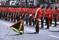 Guard of honour